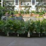 OTRA2014_0872 (August 29, 2014)